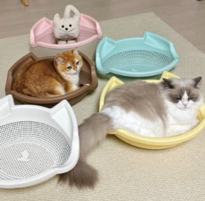 韓國預購 CATBANG寵物四季用收納籃窩B款