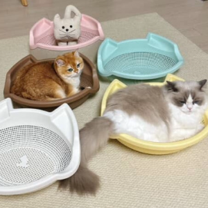 韓國預購 CATBANG寵物四季用收納籃窩B款