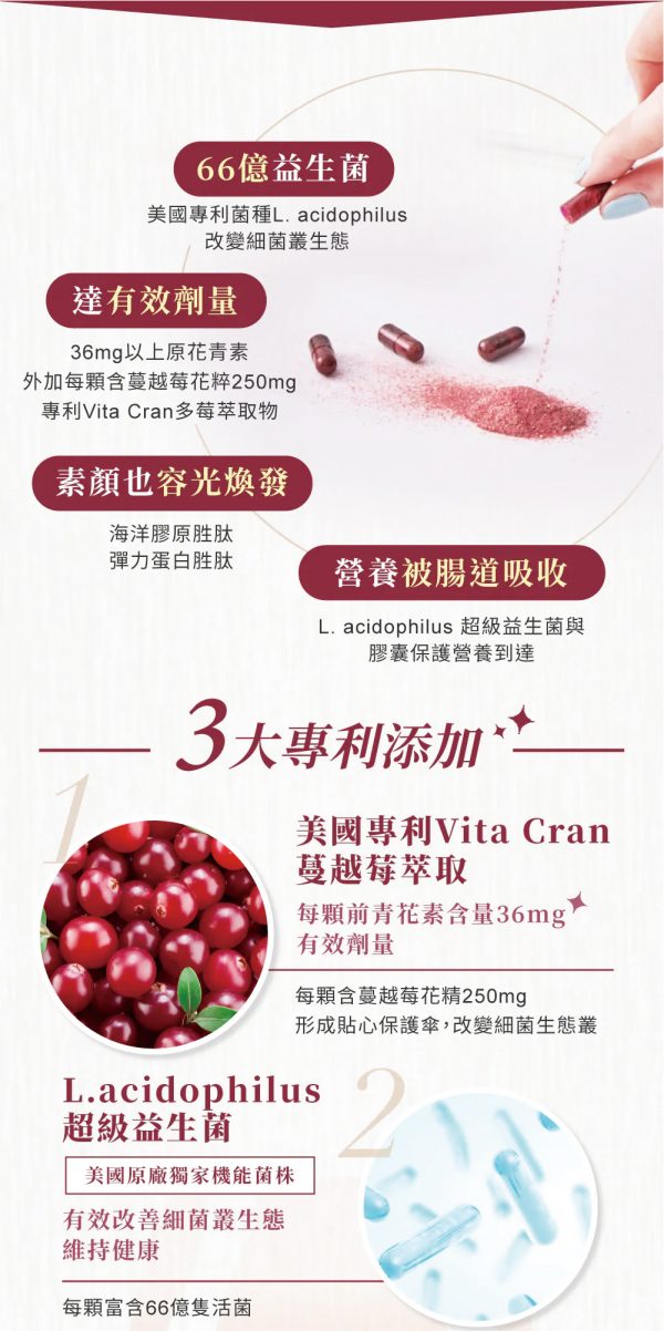 台灣Relove 益妍莓后- 蔓越莓益生菌 - 香港行貨