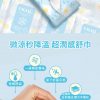 Vigill 婦潔 私密潔舒巾 (微涼版孖裝共 24 片) - pH 3.5 弱酸護理、瞬效清涼去味、生理期必備